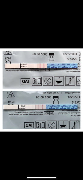 6dpo positive pregnancy test 