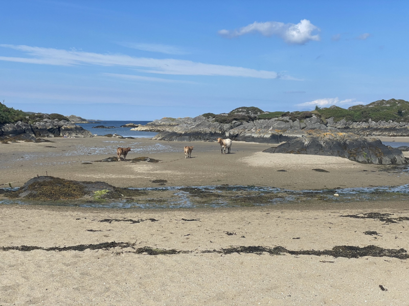 Where is the absolute best beach in the U.K.?