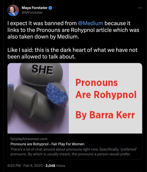 Maya’s response to Radical Notion’s GC divisions 