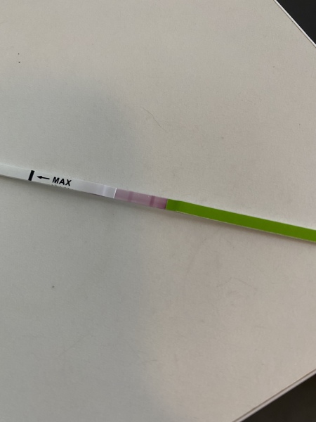 Is this ovulation test positive? (Pic)