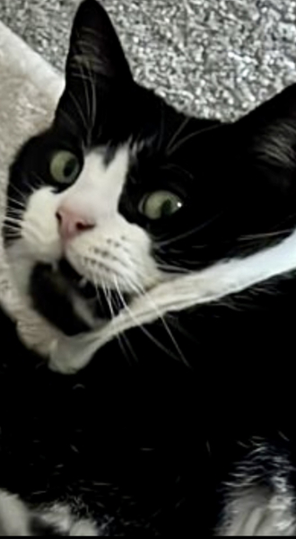 Cancer Support Thread 85 - Hoping for a positive 2023