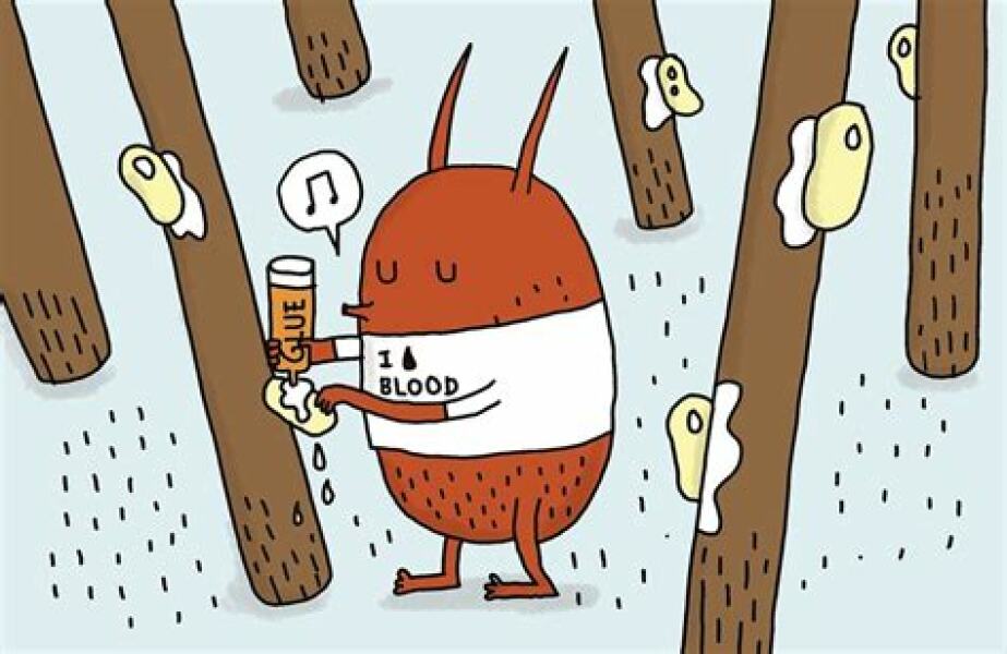 Trans and losing my mind...