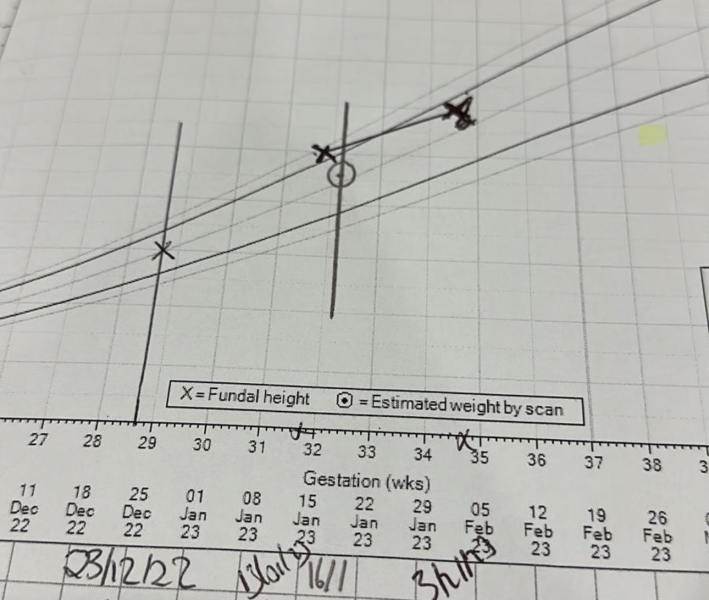 Due March 2023 - Thread 7