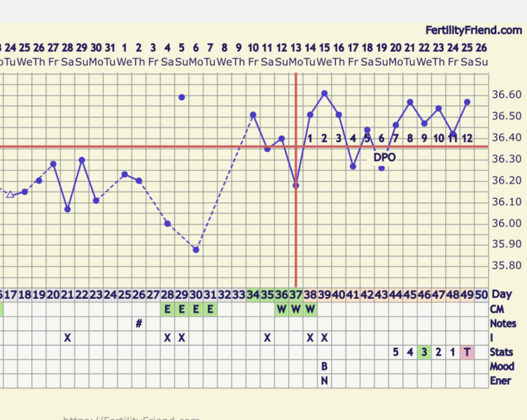 When donyou think i ovulated?!