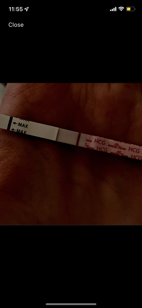 10dpo