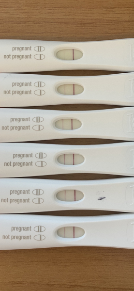 Pregnancy test more faint the day after a stronger positive