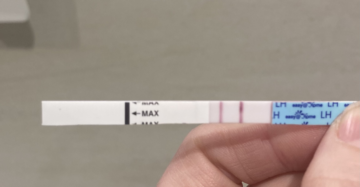Ovulation?? 