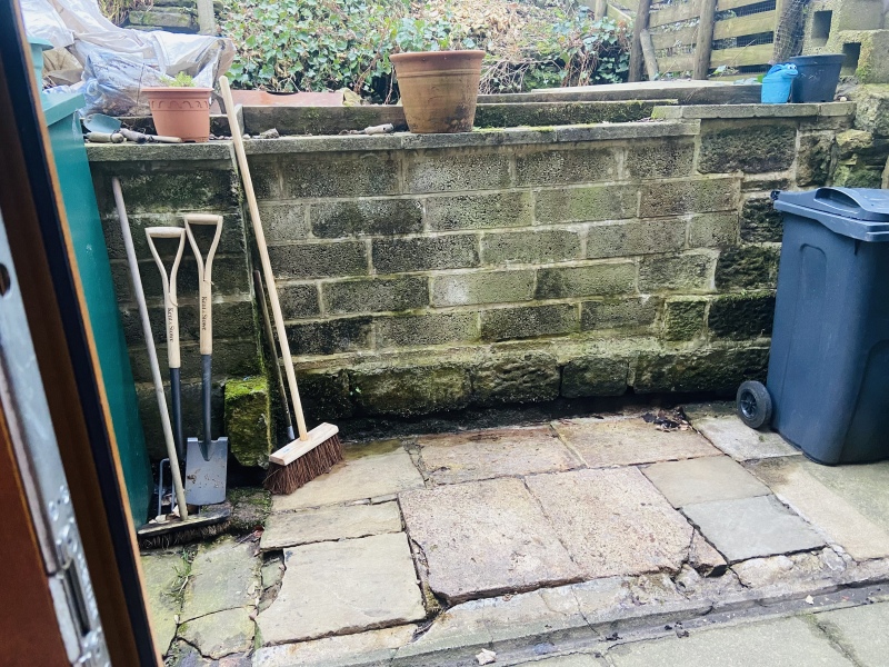 What to do with my tiny garden/back yard? Pic included