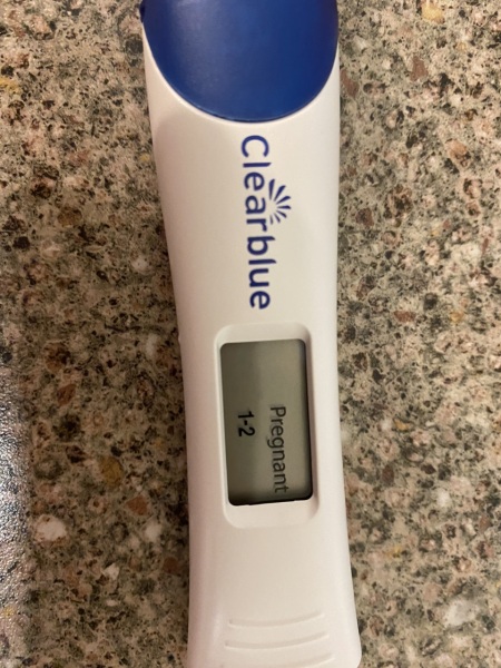 I'm pregnant, right?