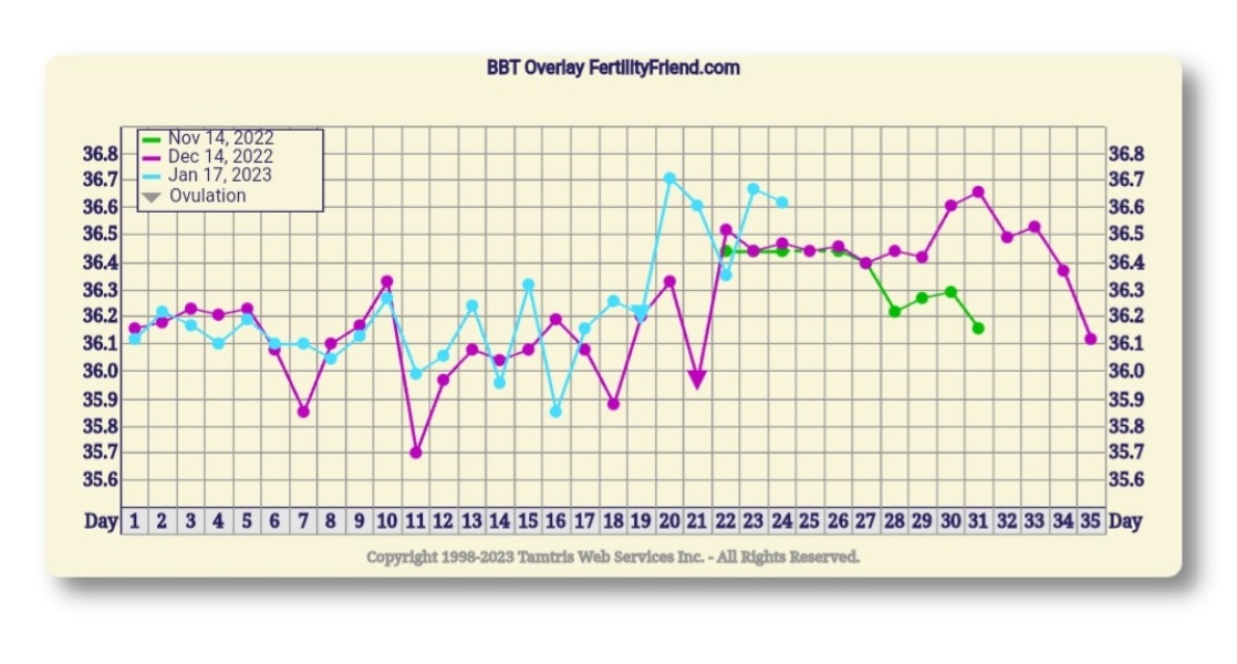 Starting to feel hopeful...TTC journey with endo and PCOS
