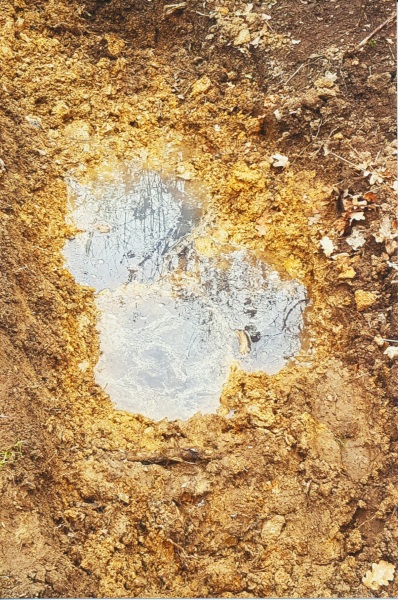 Seem to have hit bedrock while digging up border. Drill?