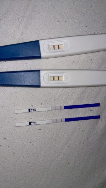 Miscarry?