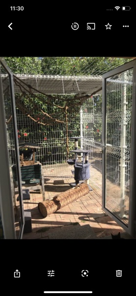 DIY Catio