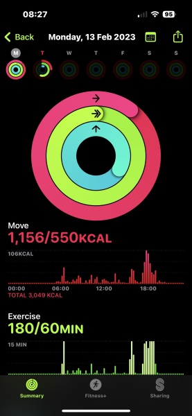 How many steps a day?