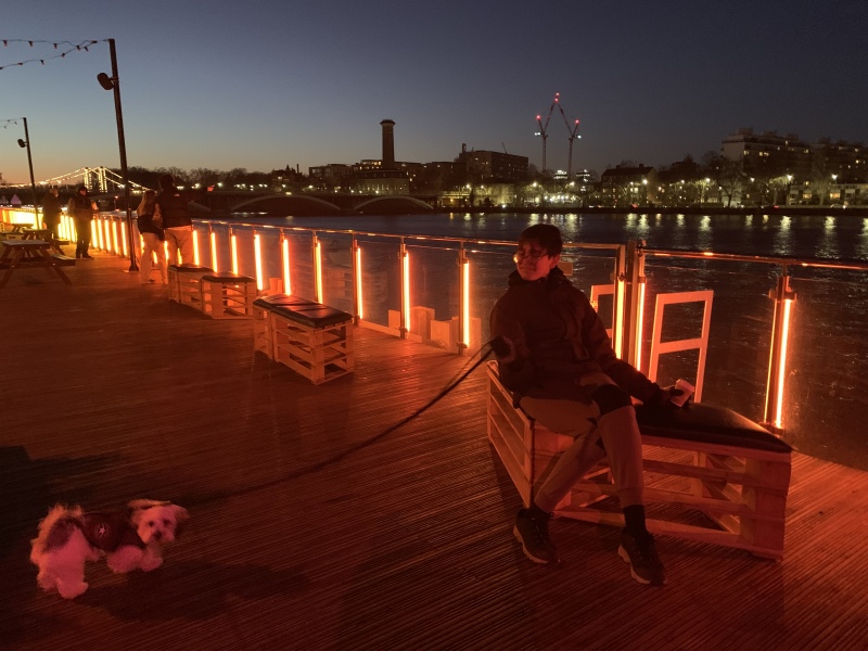 Puppy Survival Thread - as we approach Fireworks night for the first time…