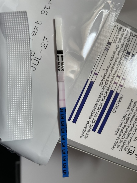 Ovulation?? 