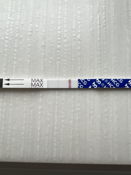 Ovulation after pregnancy loss