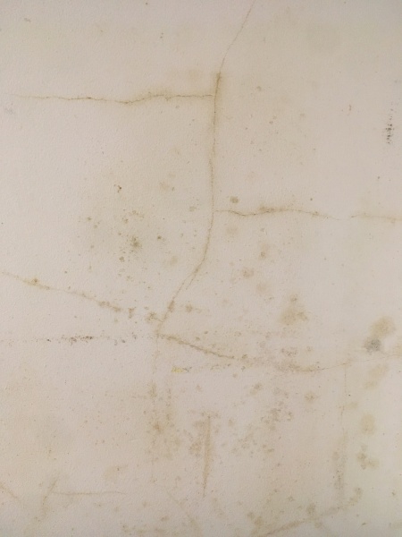 Yellow cracks- should I worry?