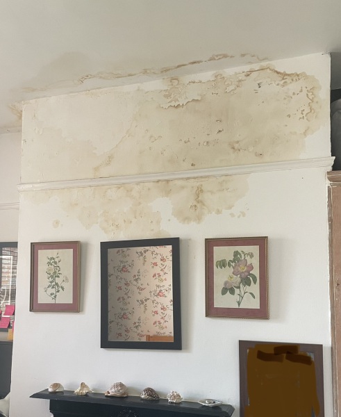 How much to fix this damp patch (pic)