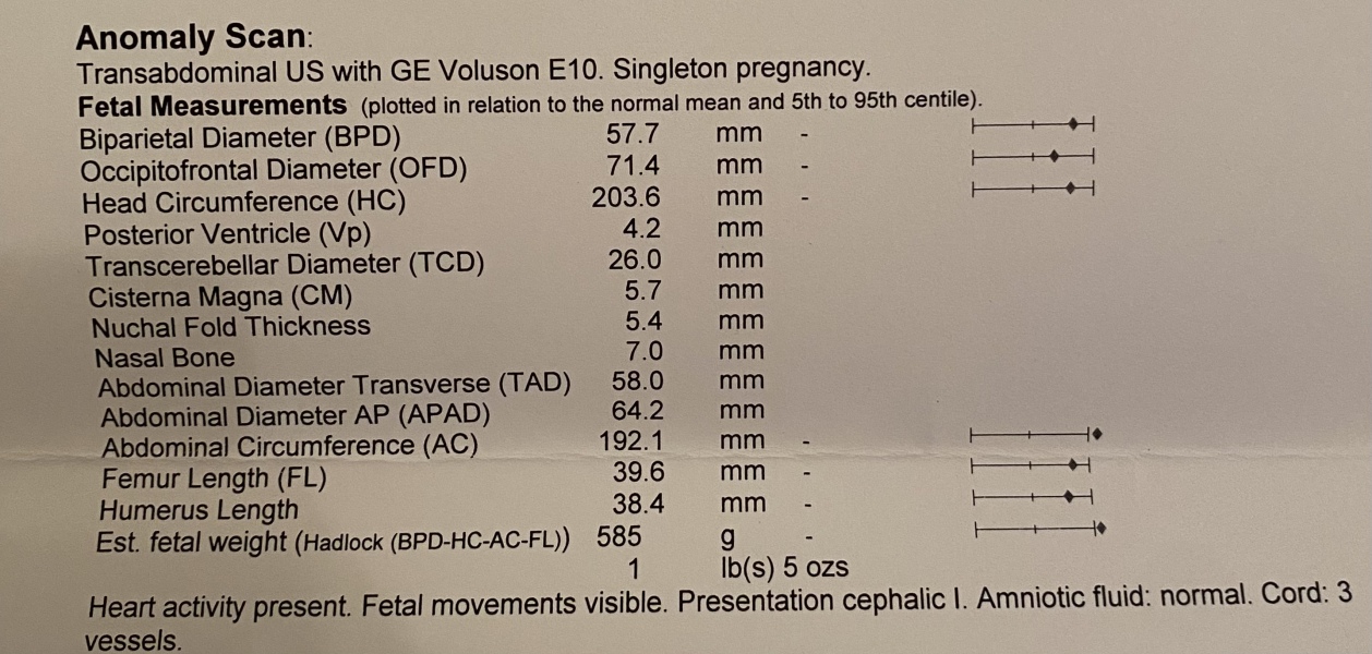 August Due Date Crew - Trimester 2 (Thread 7)