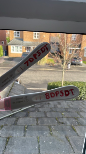 FET/IVF - January 2023