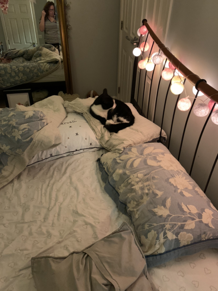 Hundreds of cats, thousands of cats, millions and billions and trillions of cats