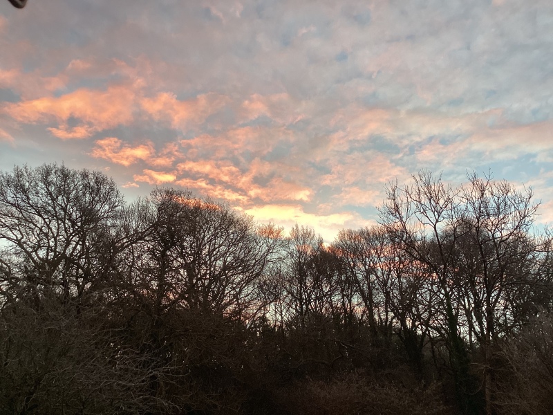 Thread 4 - TalkExiles: "The Planet Goes On Being Round"