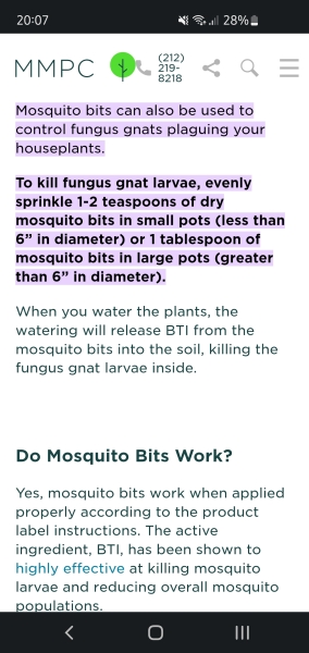 Tiny tiny flies in my home