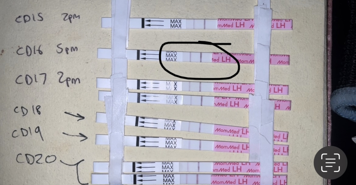 Advice/help on ovulation situation please!