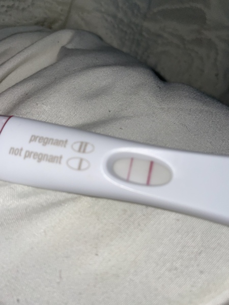 IVF February 2023