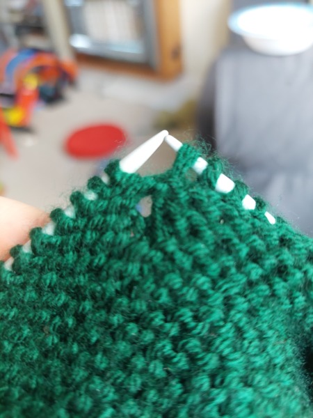 Dropped garter stitch! I need help 