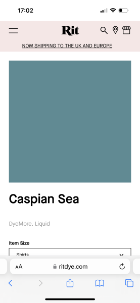 What colour should I dye this slip dress? (Pic attached) 
