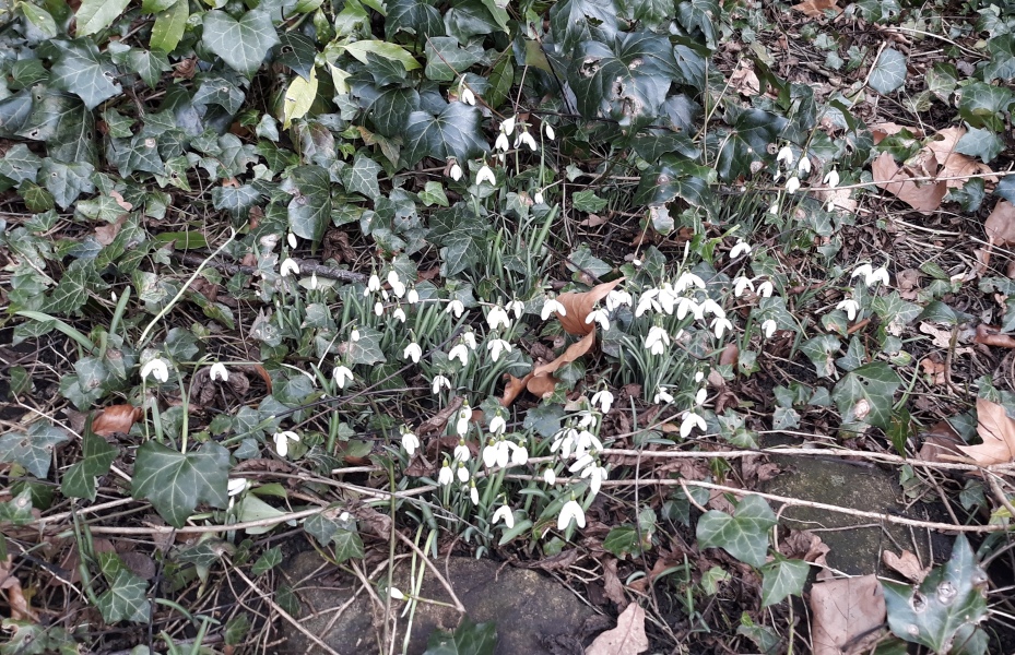 Any Witches Here?- Part 18