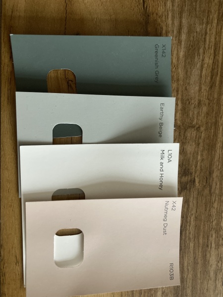 Grey skirting, bannisters  door frames and dado. Fab or naff?