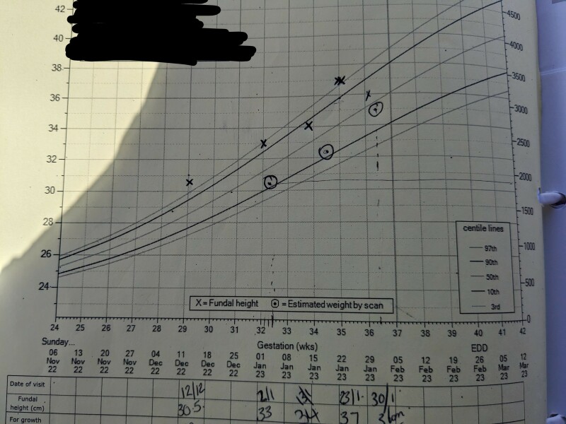 Due March 2023 - Thread 7