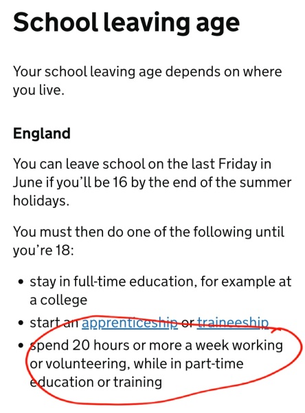 Things you wish they’d taught you in school