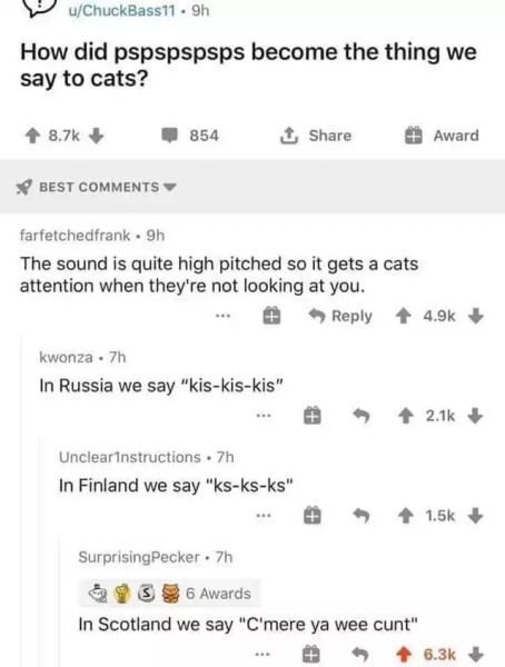 To be enormously offended by the C-word