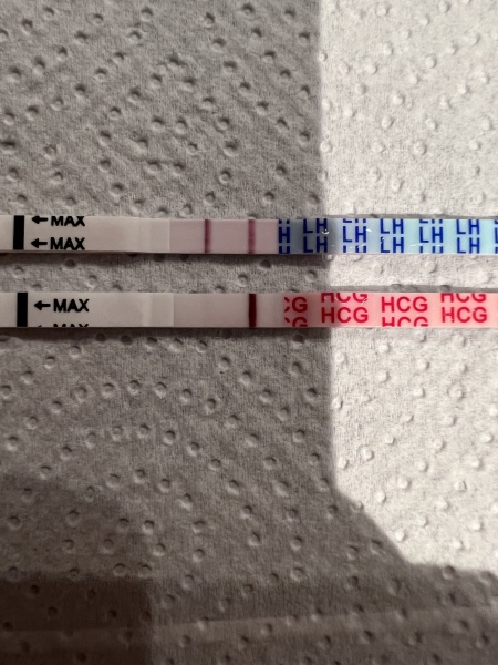 6DPO buddies please ?