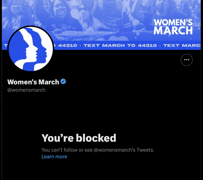 Everybody else blocked on Twitter by Women's March?