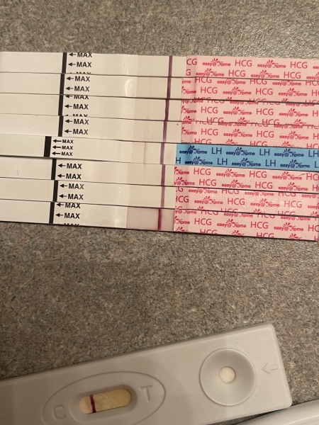 Preparing and TTC in 2023 - Thread 2