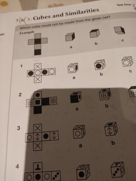Y6 Wandsworth Test