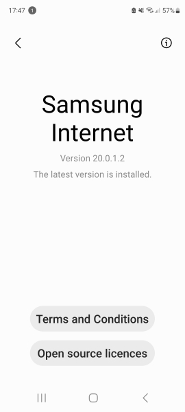Samsung Internet formatting glitch