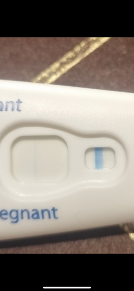 Looking for TWW buddies....