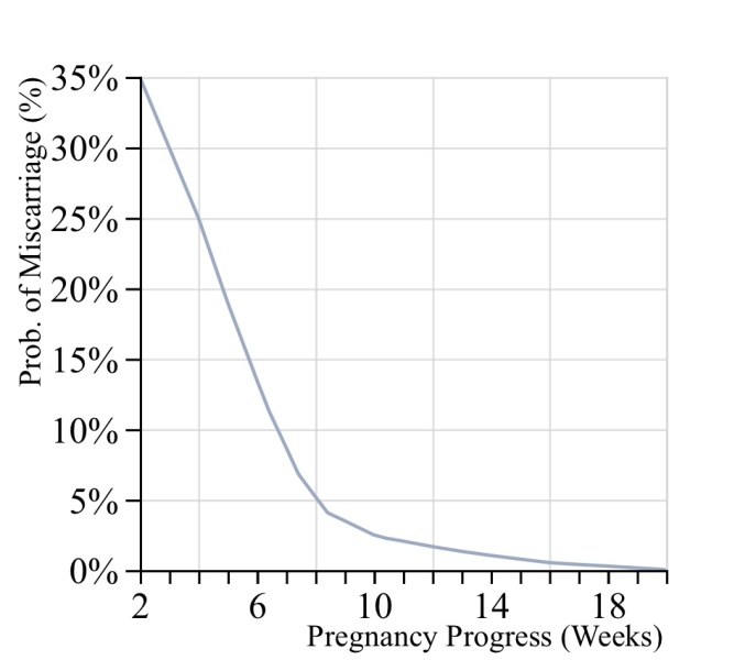 August Due Date Crew - Into Trimester 2 (Thread 6)