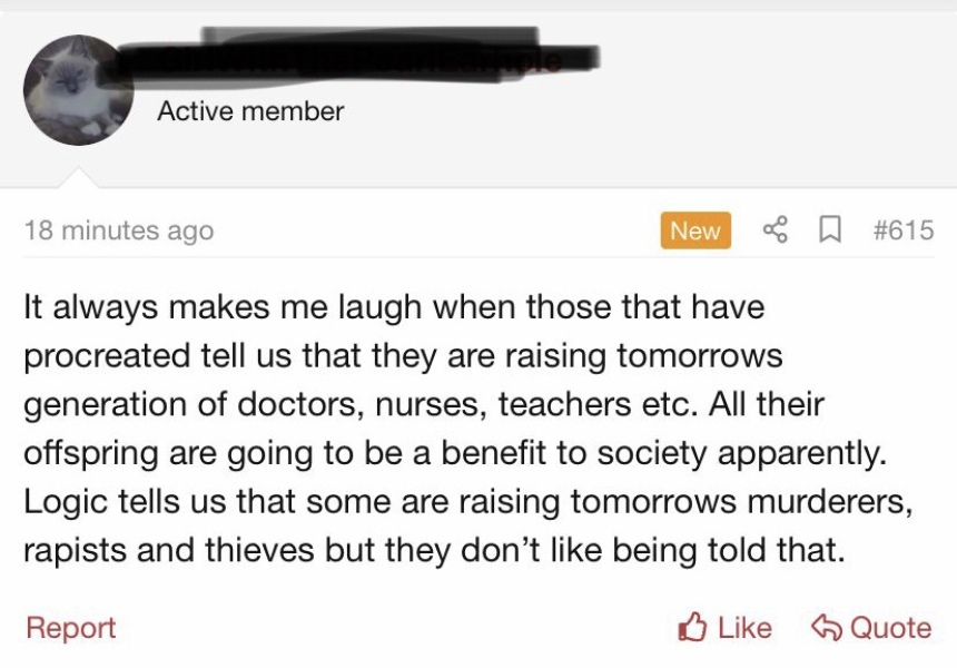 Childfree people ranting about parents 