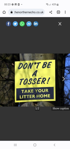 who are the people littering etc?