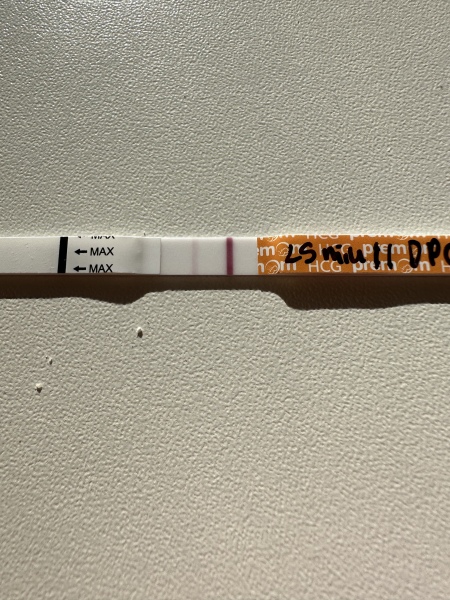 January Testers (TTC September/October🎃🍂)