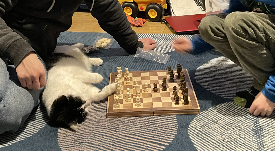 Hundreds of cats, thousands of cats, millions and billions and trillions of cats