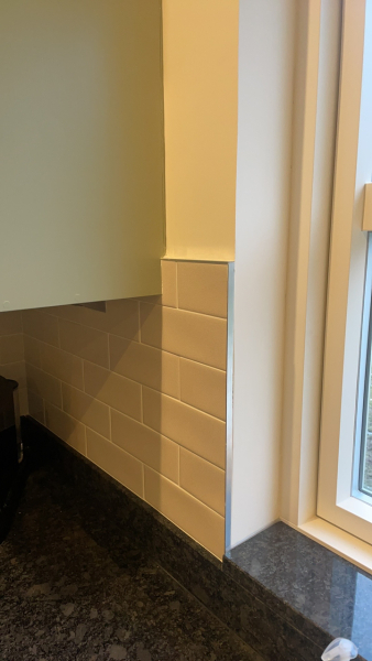 Help choosing a tile edging or border.