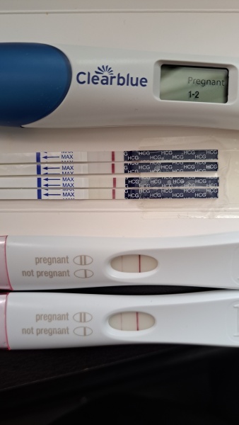 Due October 2023 -Thread 2